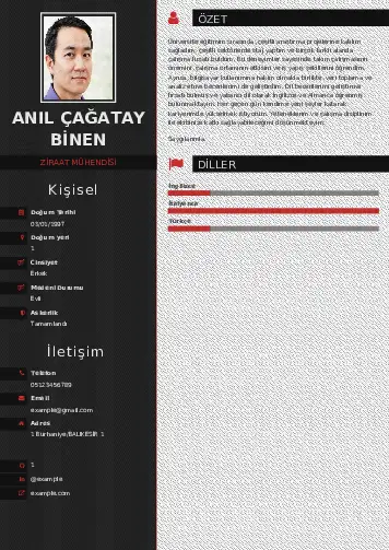 Ziraat Mühendisi Cv Örnekleri cv indir